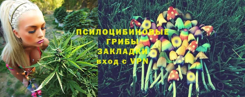 Псилоцибиновые грибы GOLDEN TEACHER  продажа наркотиков  mega маркетплейс  Нытва 